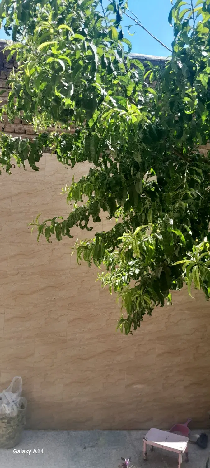 خانه کلنگی(۱۲۰متری طبق سند تک برگ)