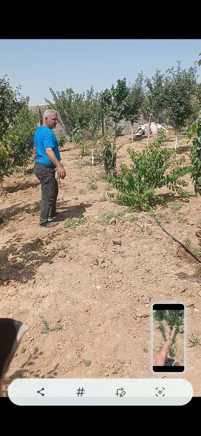 باغ ۵۰۰متری