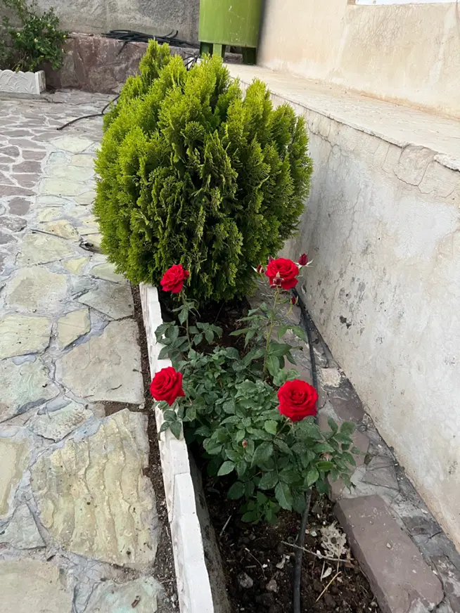 فروش باغ ویلا تمایل به معاوضه