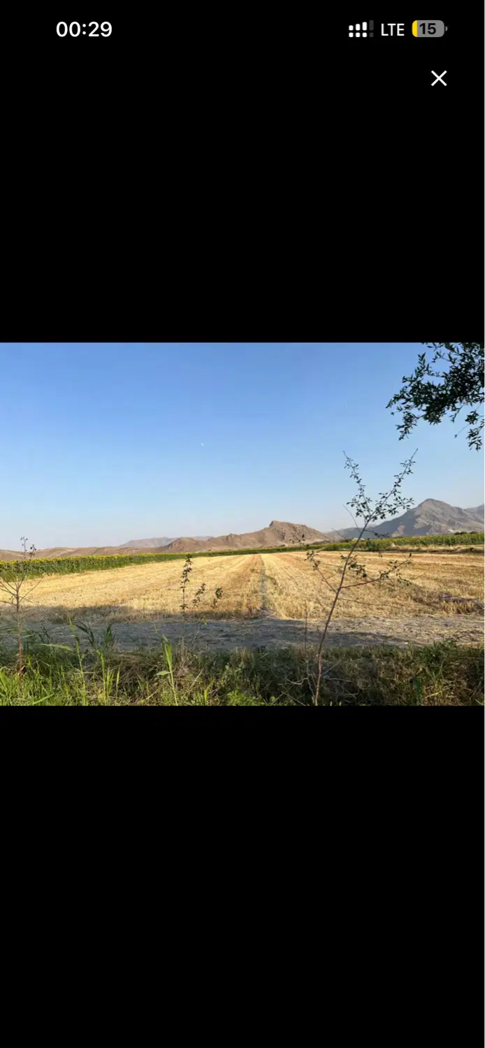 زمین کشاورزی