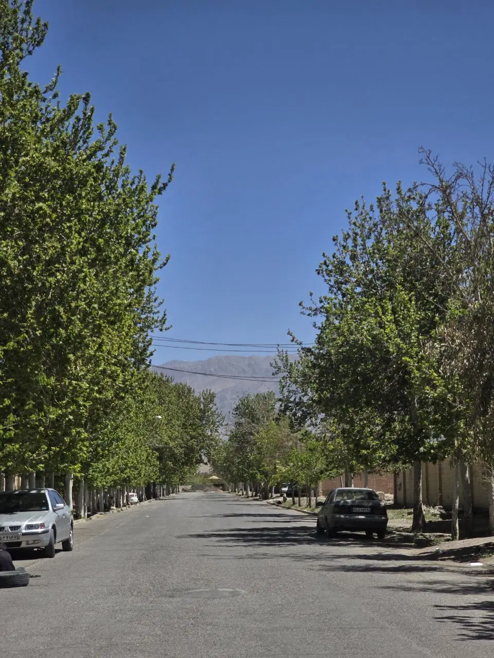 اقامتگاه بومیگردی راسپینا
