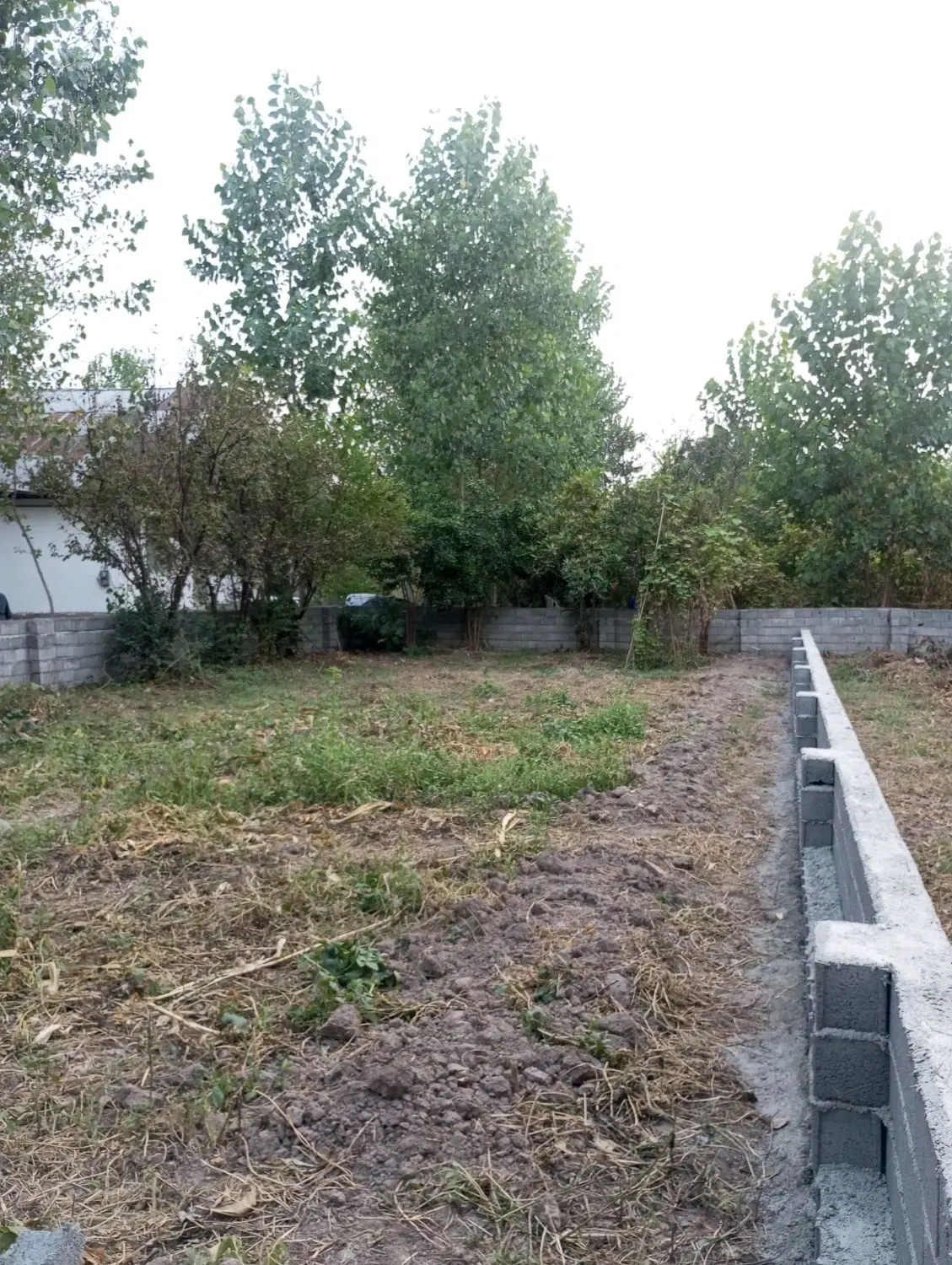 زمین روستایی_جای دنج
