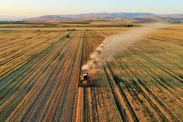 زمین کشاورزی