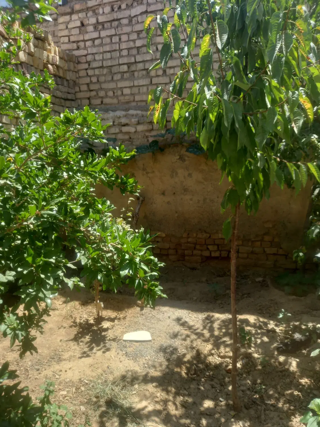 زمین ویلایی