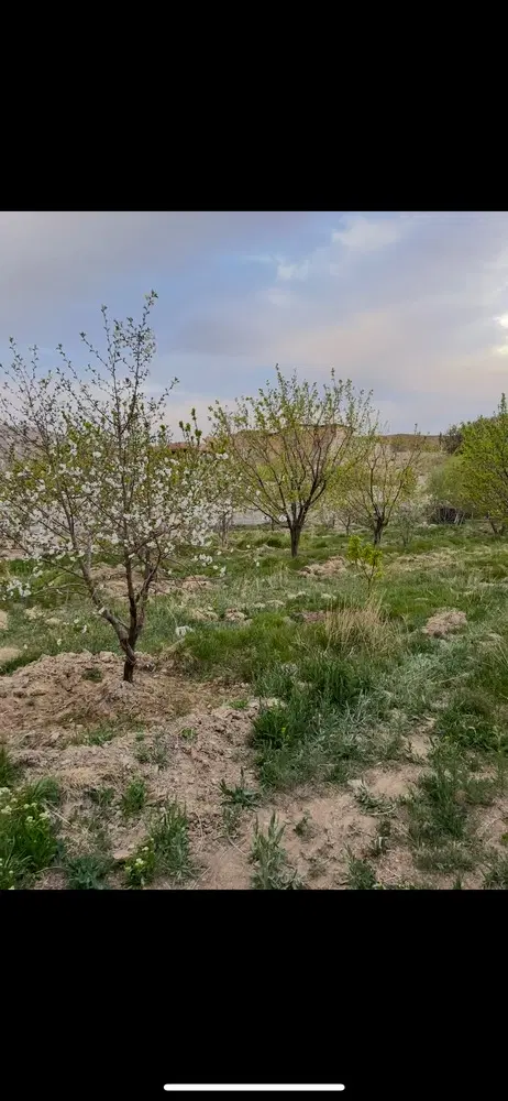 ویلا نیمه ساز عرب اباد
