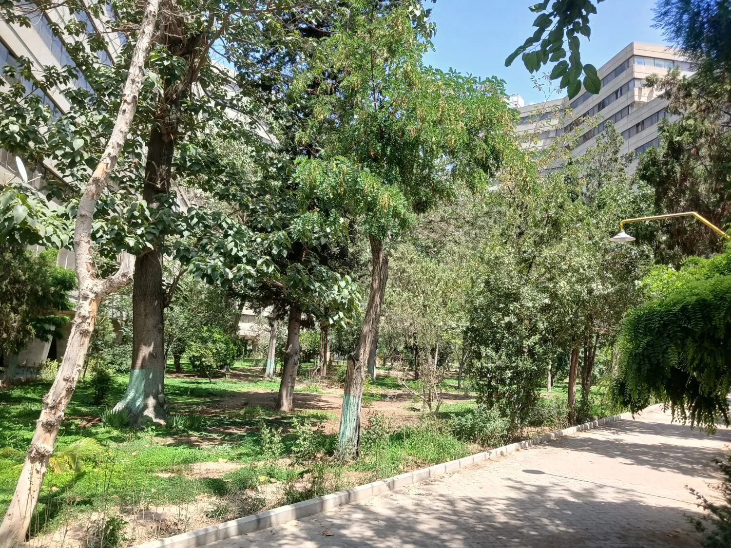 دو خوابه فاز ۲