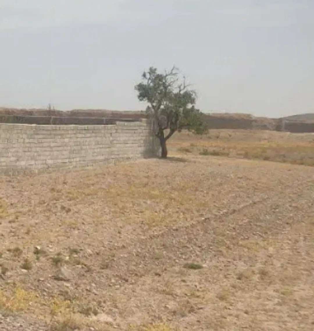 زمین داخل بافت ولامدر