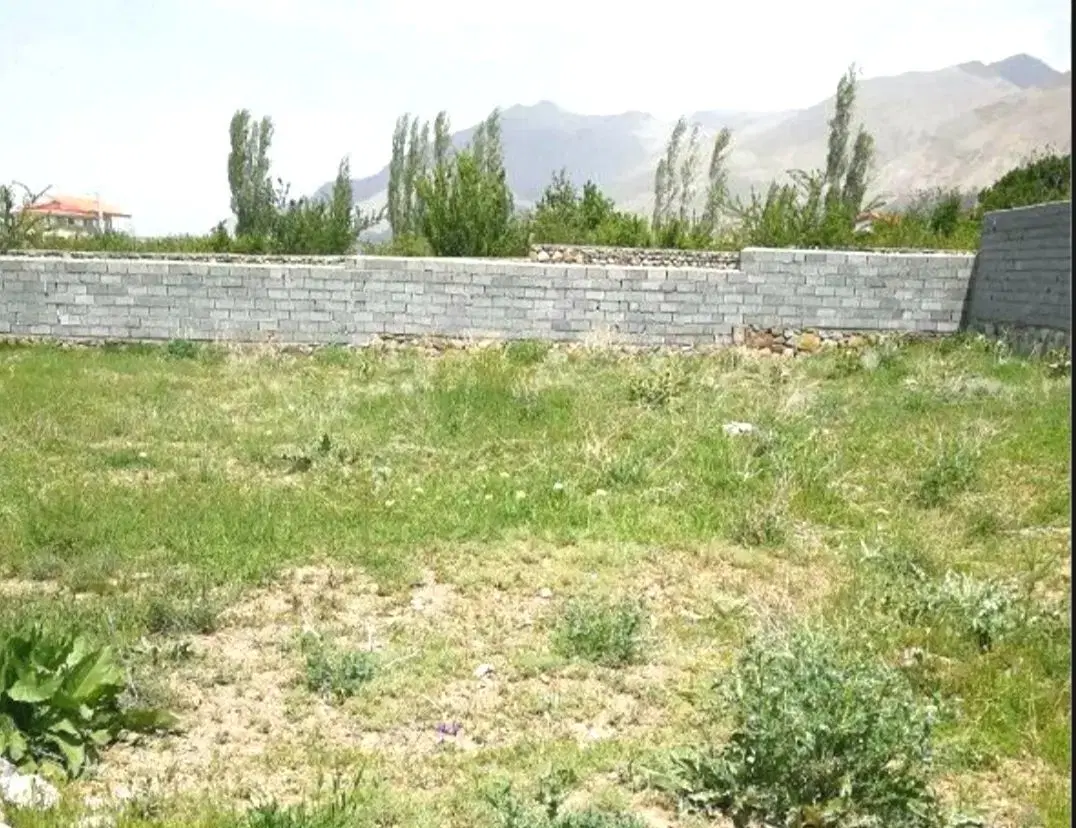 زمین باغی