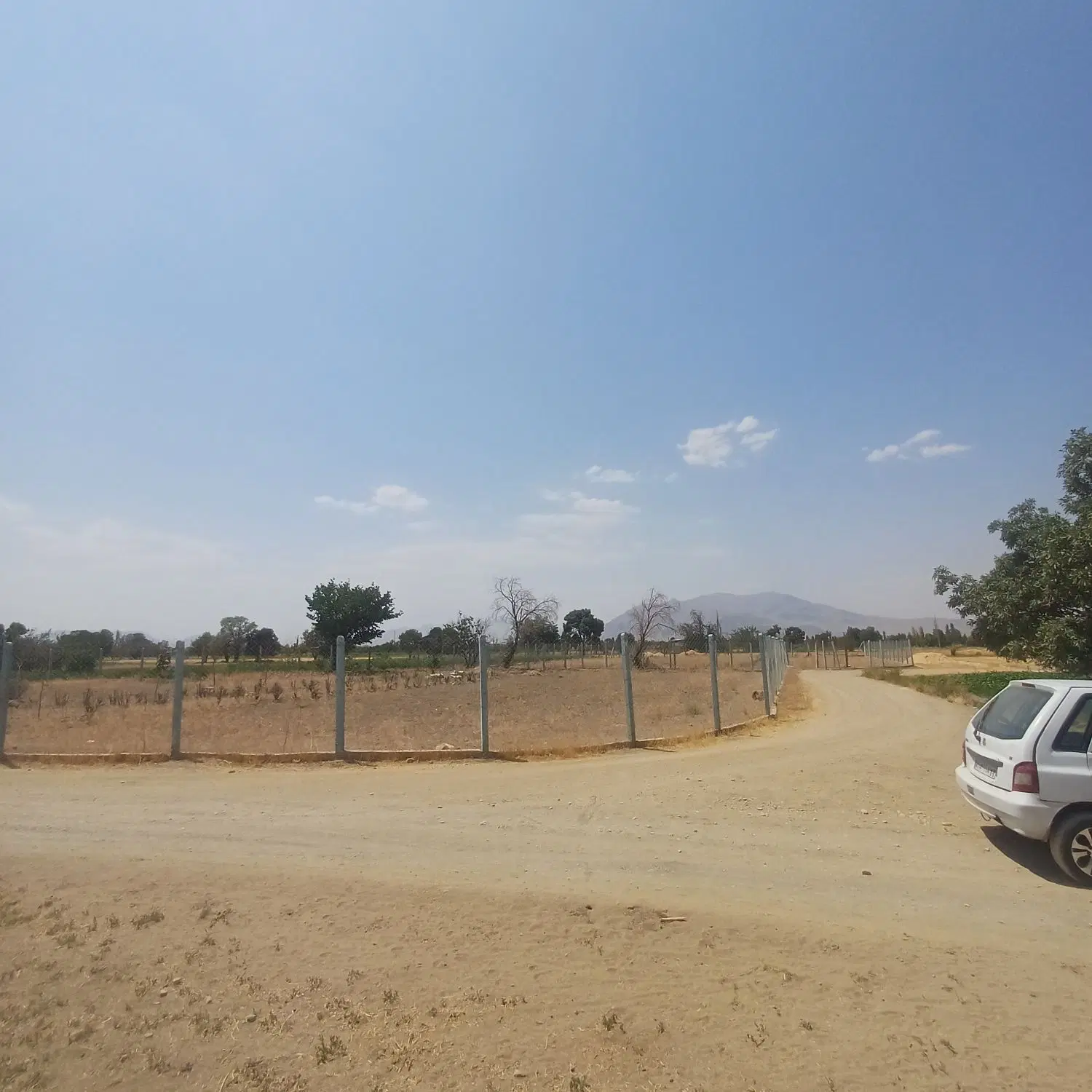 زمین زراعی کوچ باغ نیوان سند اقافی