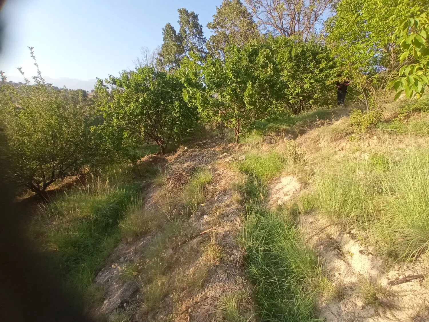 فروش خانه روستا