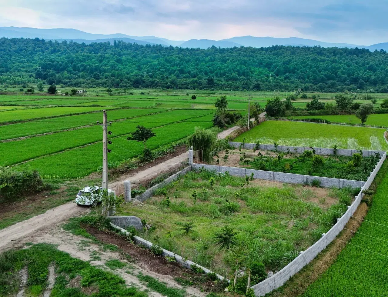 زمین برای ساخت کلبه سوئیسی متری ۵ سندارشهرکی جنگلی
