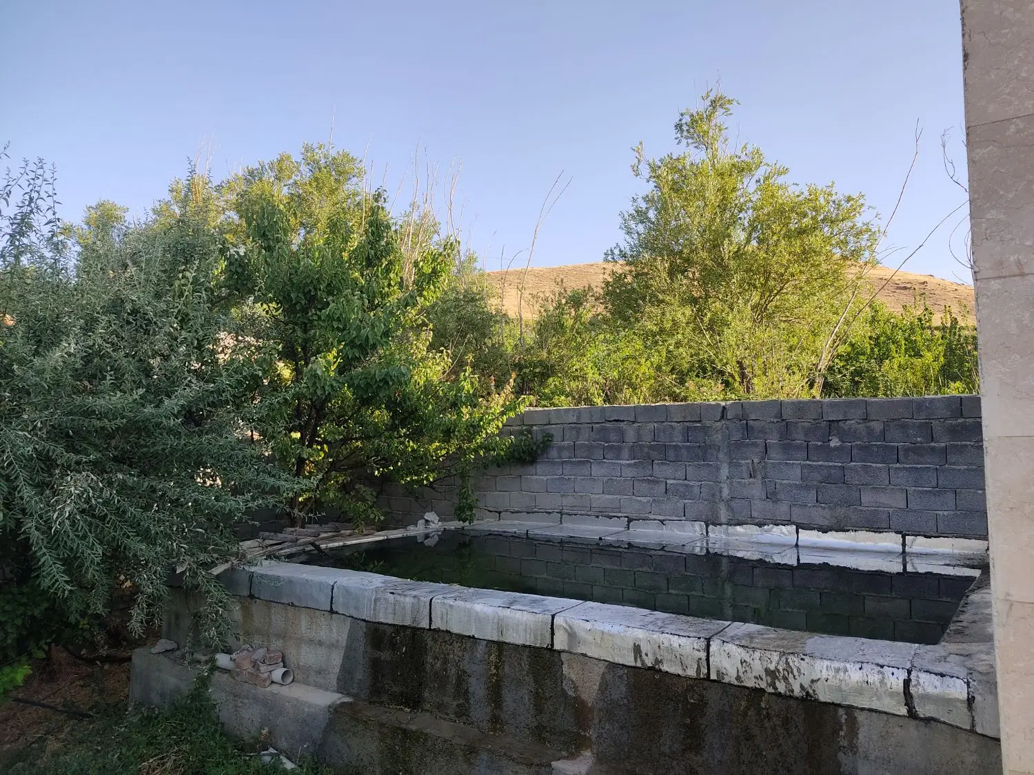 فروش باغ - ننله