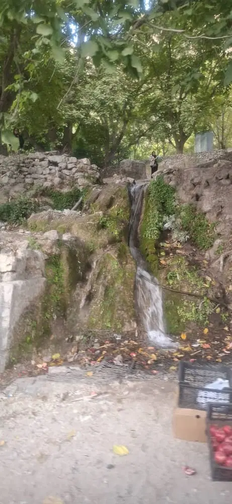 ۲۳۴متر زمین پروانه دارشهری سرابتاوه جاده اصلی