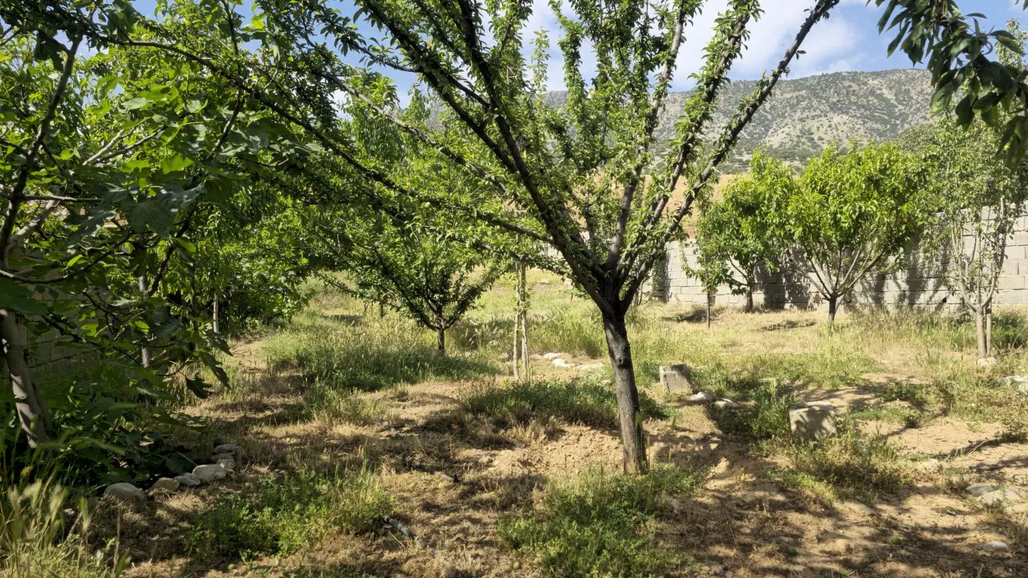 باغ قلعه سنگی