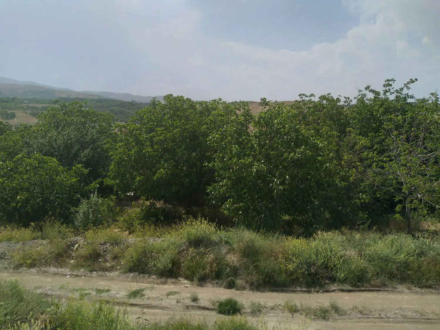 باغچه ۸۵۰متری