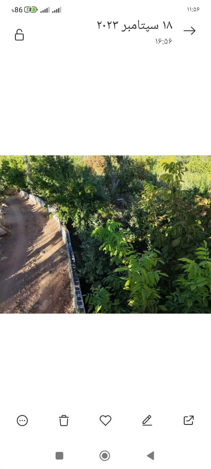 فروش باغ