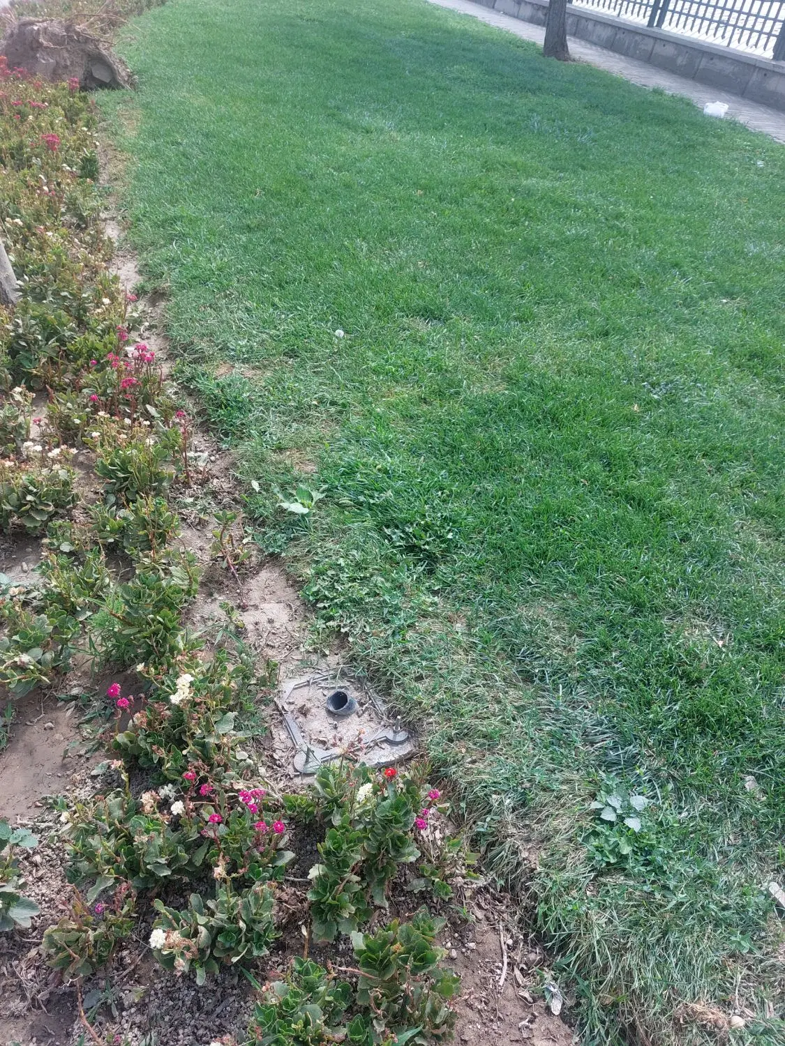 زمین ۵۰۰ متر گلمکان