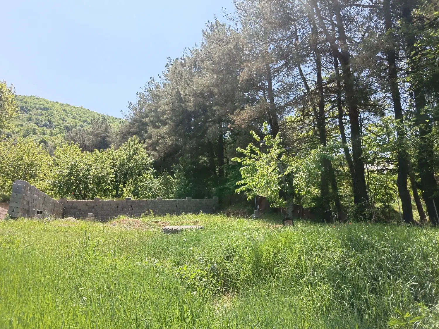 زمین فروشی جهت سرمایه گذاری