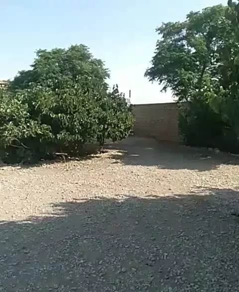 زمین‌باغی