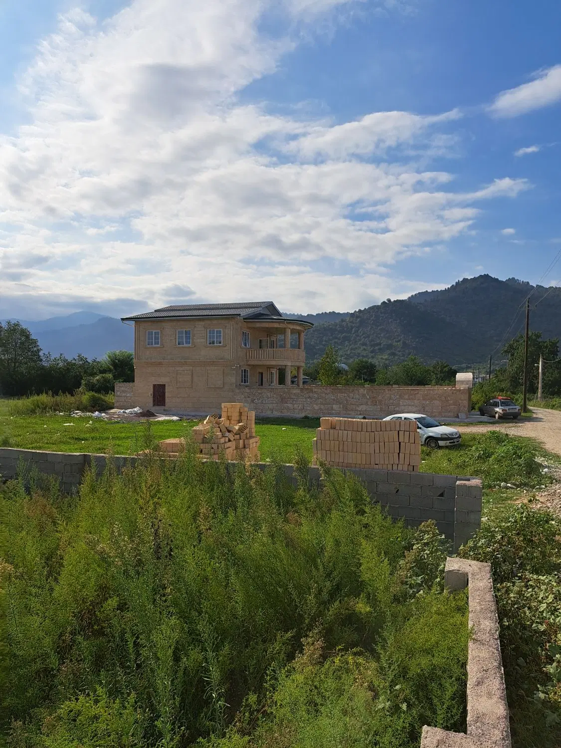 زمین سند تک برگ