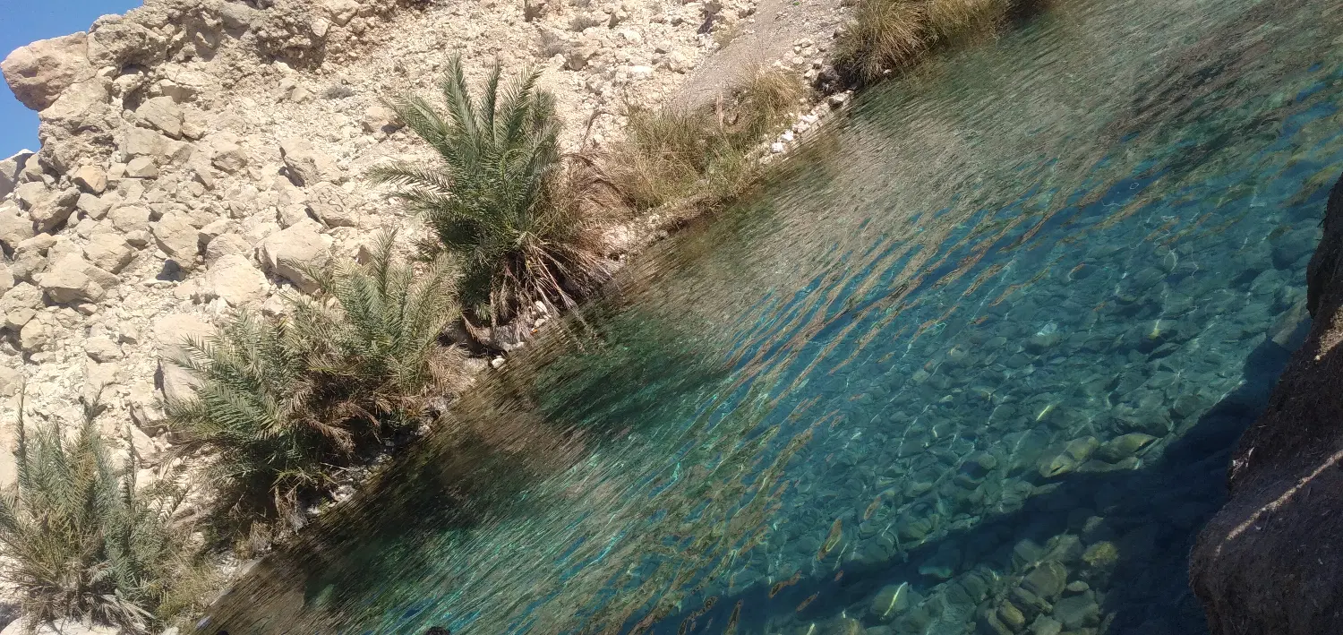 زمین مسکن ملی