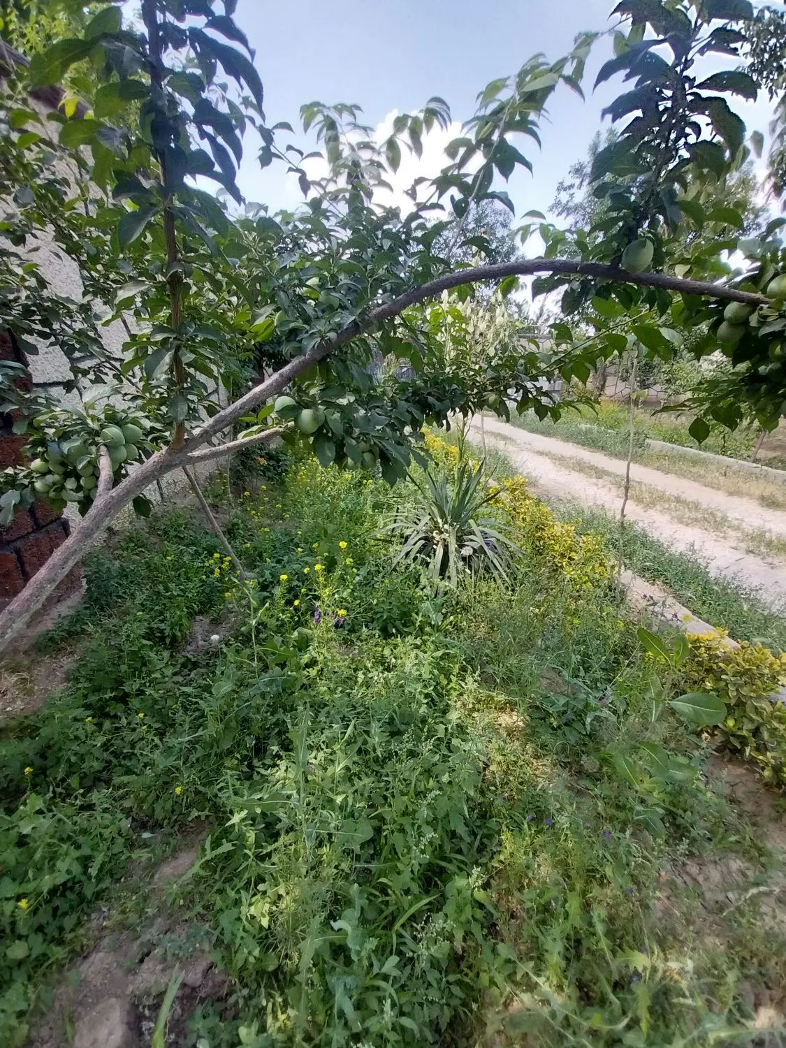 باغ ویلای ۱۴۰۰متری سنگستان