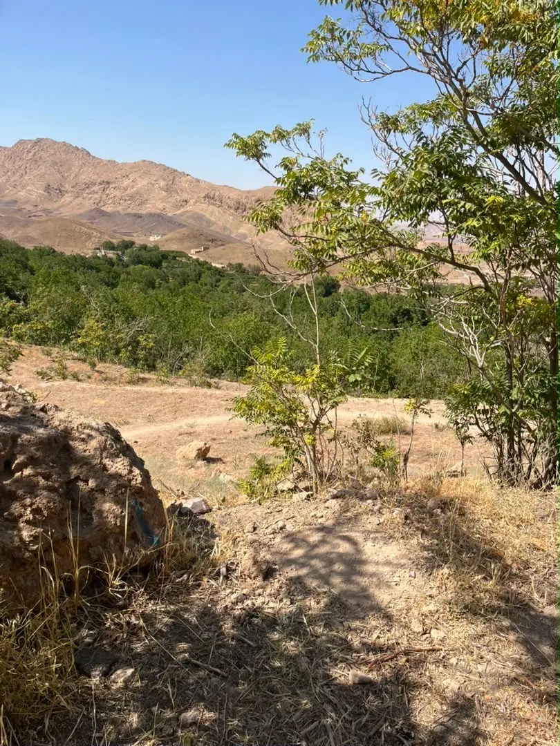 زمین نیاسر