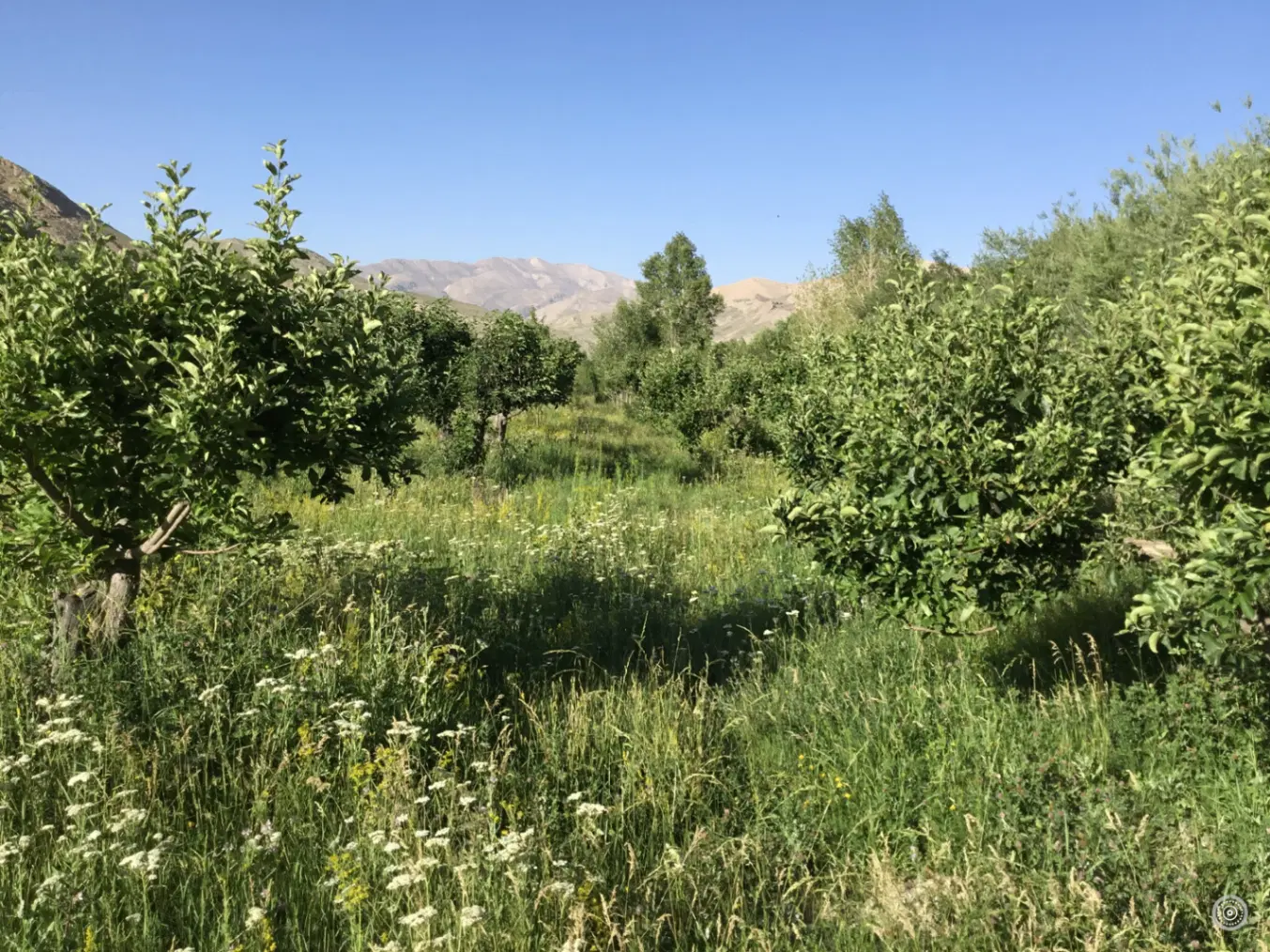 خانه باغ کنار رودخانه - فیروزکوه