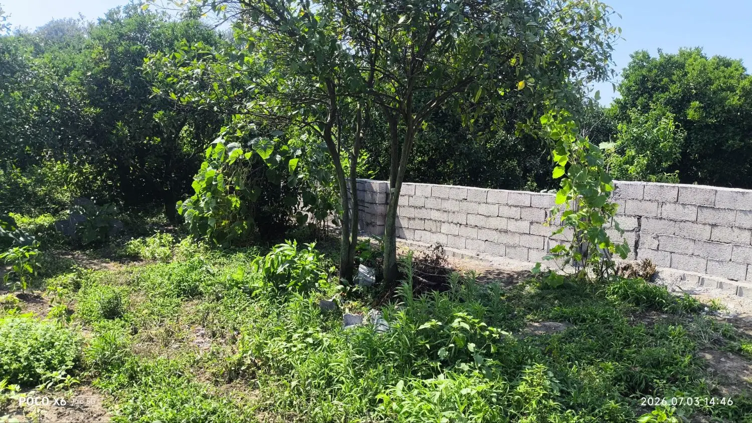فروش ۴۷۰ متر زمین مسکونی سنددار چابکسر