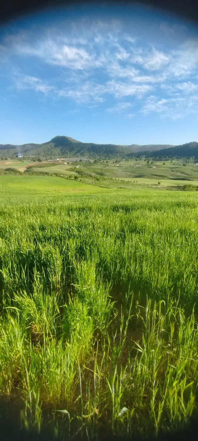 سلام یه قطعه زمین در روستای فیروزاباد