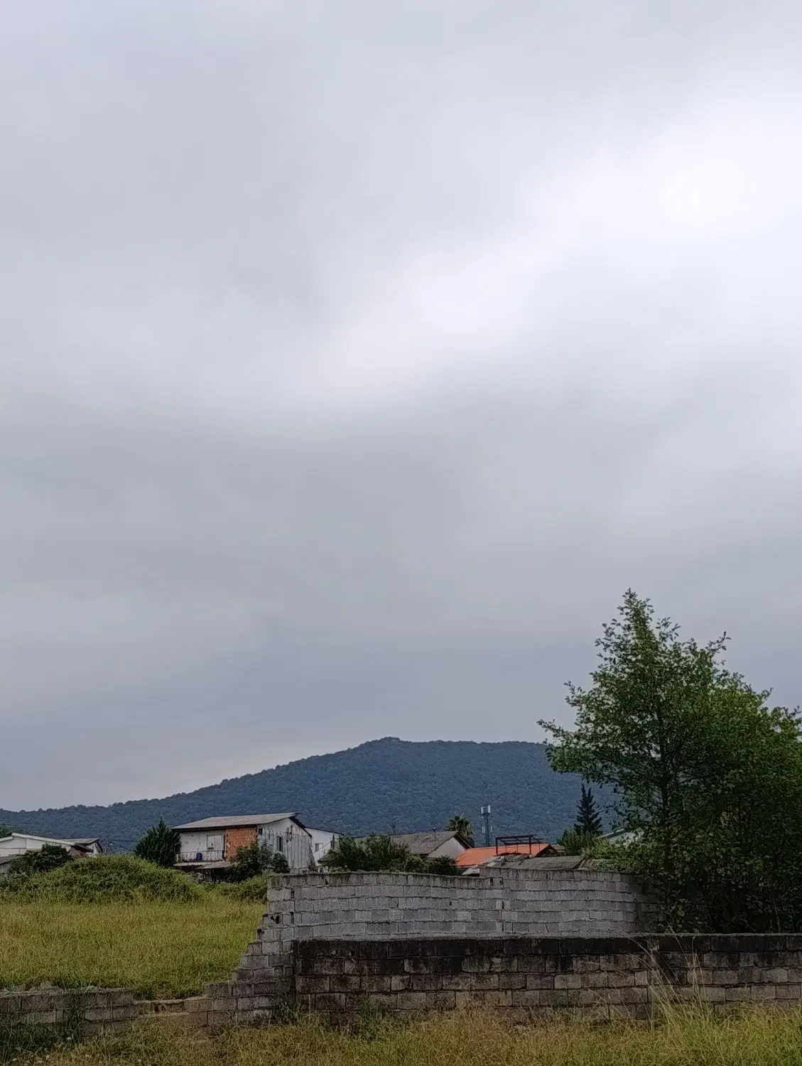 زمین ۲۵۰ متری چالوس