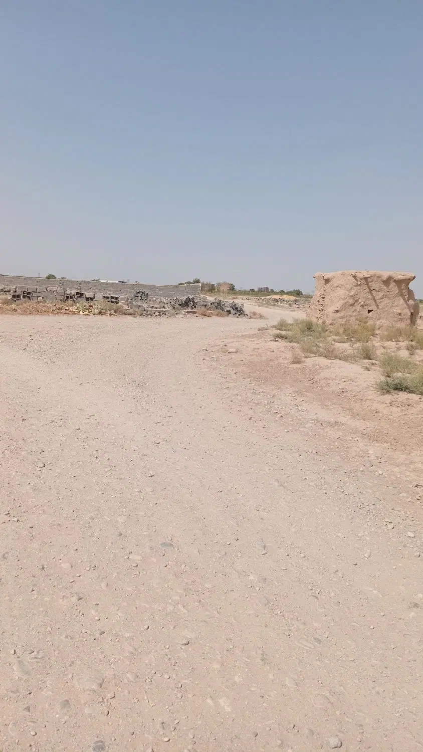 زمین