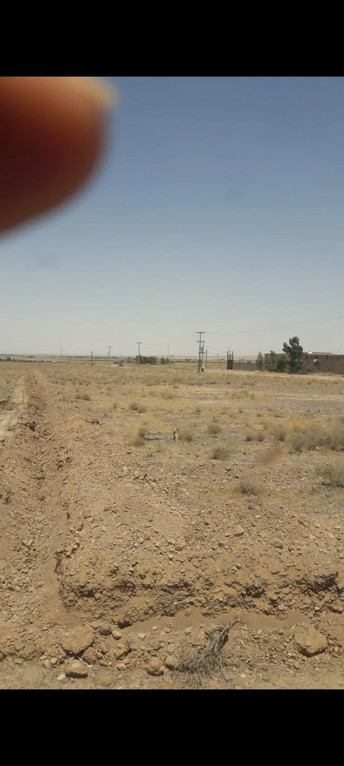 زمین باغ و باغچه