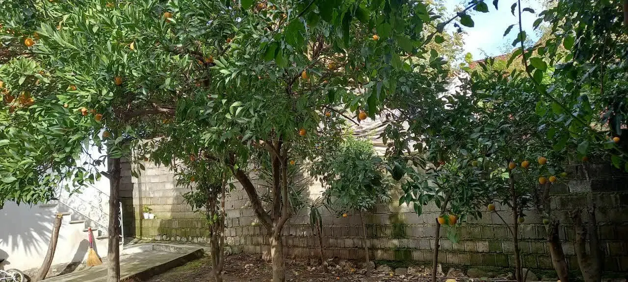 فروش ویلا در چالوس
