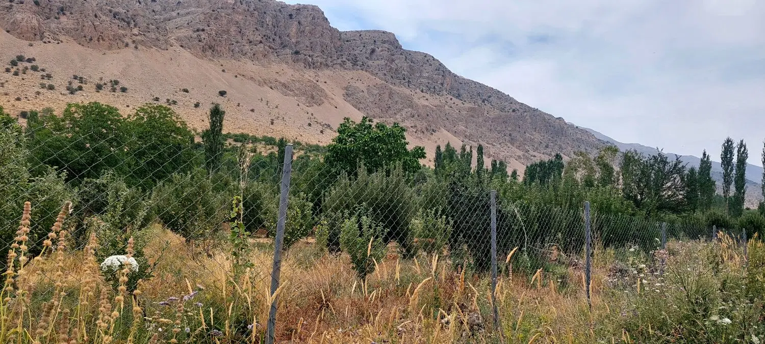 باغ ثمری  1000 متری