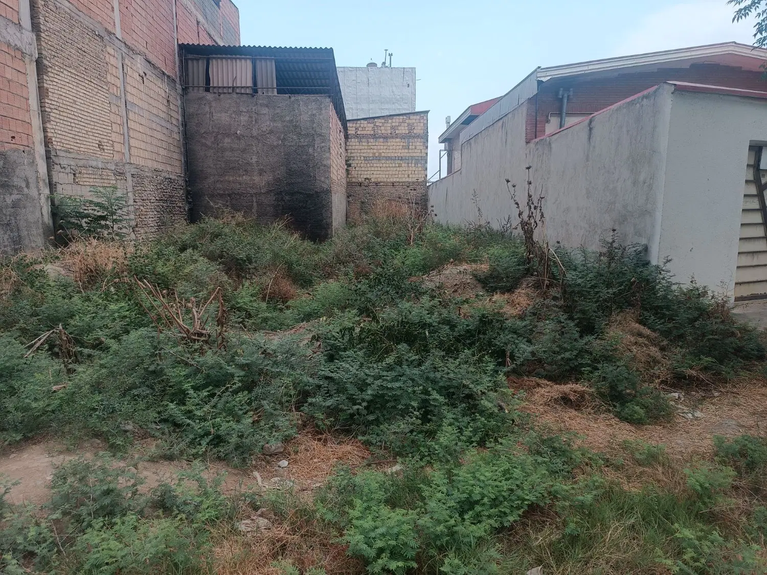 فروش زمین  تجاری شهرک جامی