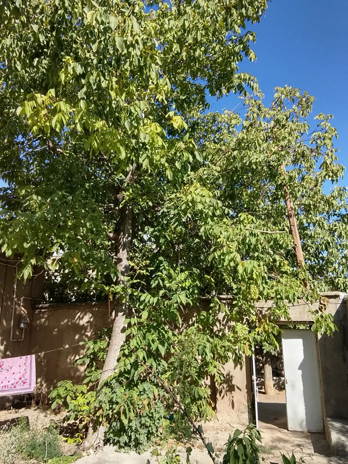 فروش منزل مسکونی و یلایی
