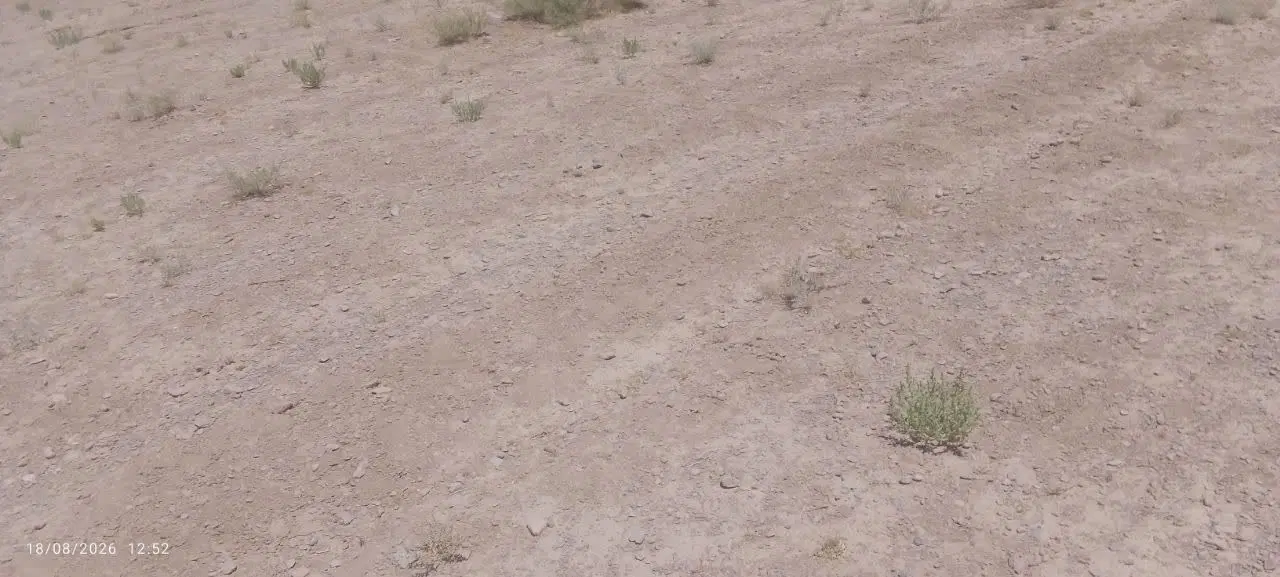 زمین مسکونی قابل ساخت خانه و باغ