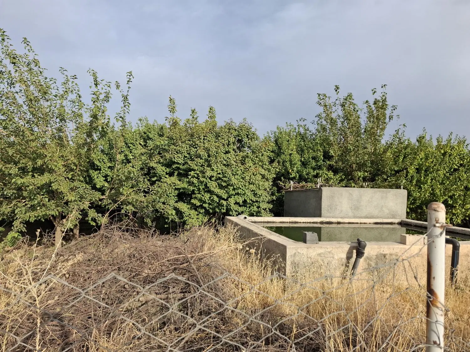 باغ سرنجیانه ( حدفاصل سرینجیانه علیا و سفلی)