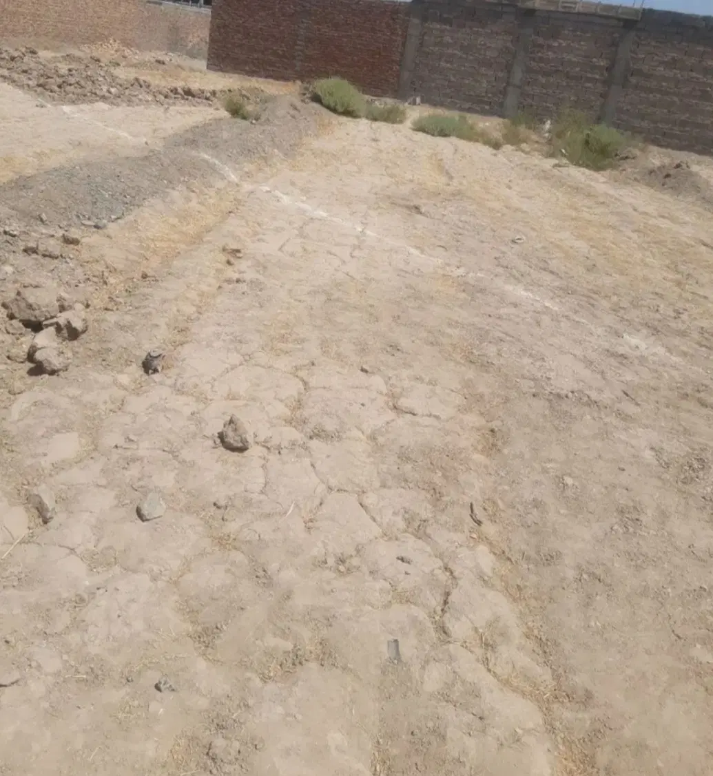 زمین۱۲۰0متری