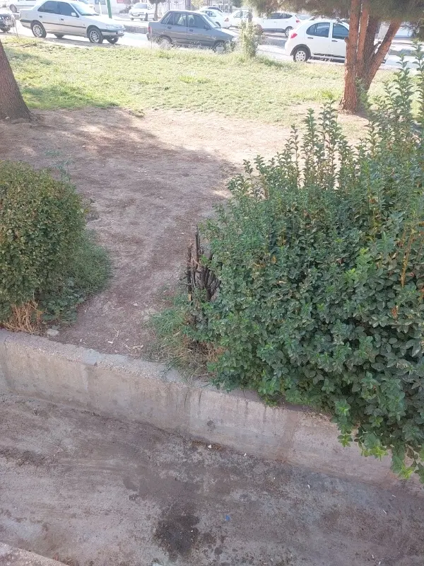 زمین واگذاری برق