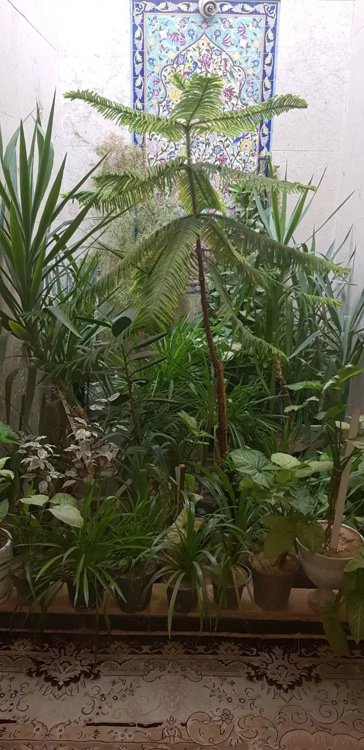 فروش خانه ویلایی۲۰۰متری ۲ خوابه ومشارکت
