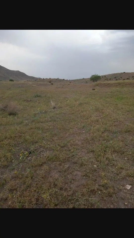زمین کشاورزی مناسب باغ
