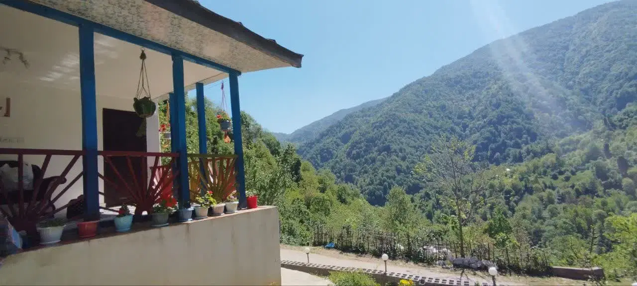 ویلای جنگلی ،سیاهمزگی