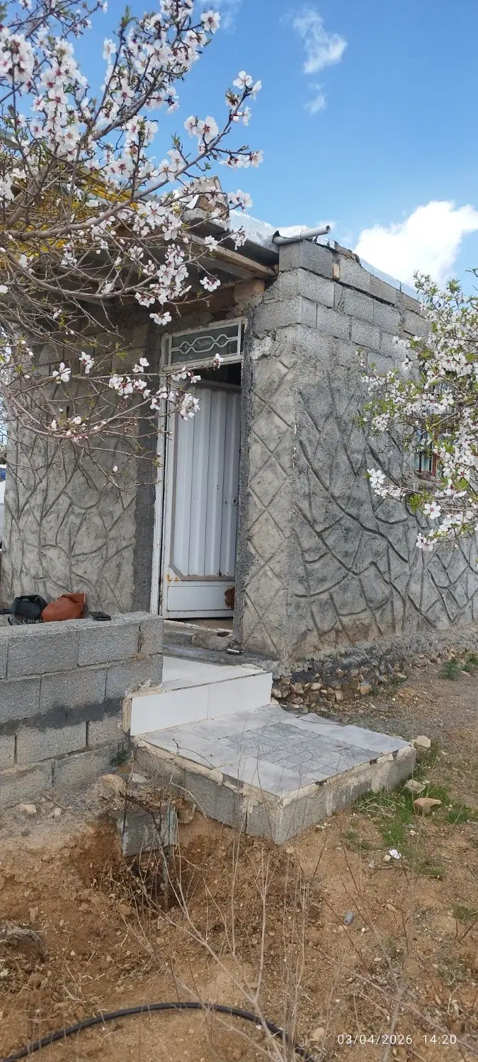باغ تفریحی با درآمد بالا