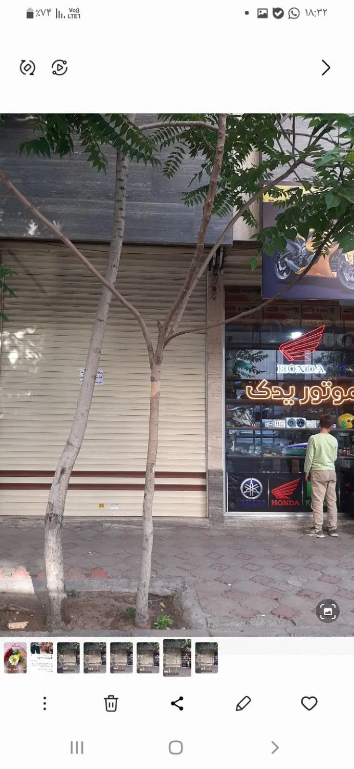 اجاره یک باب مغازه
