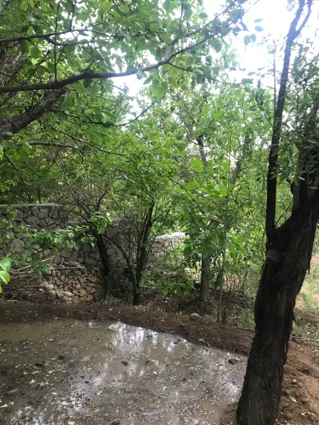 باغ نقلی ده بالا