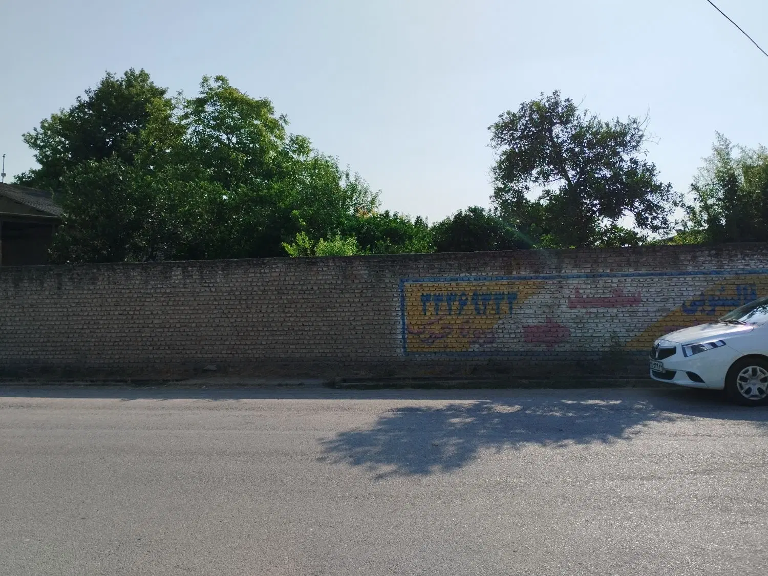 باغ مرکبات زیبا لبه جاده اصلی در شمال