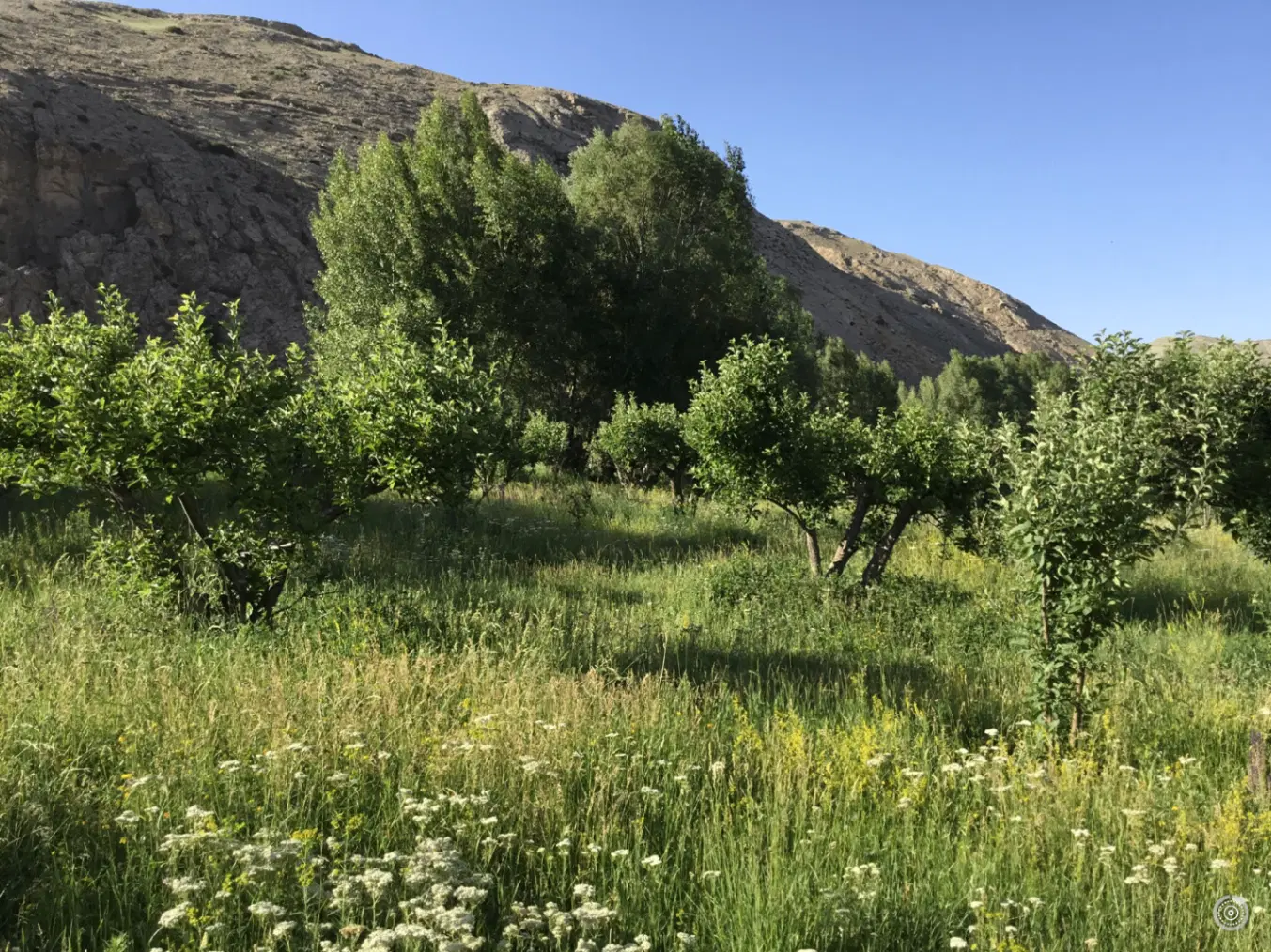 فروش خانه باغ