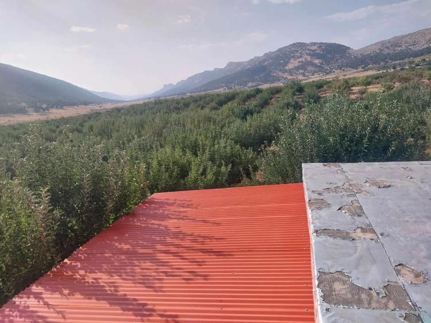 فروش ملک باغ